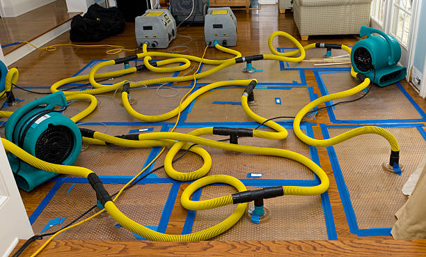 Professional Sewage Cleanup technician working in Oak Hill, OH
